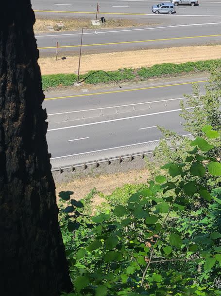 FOTO: Los bomberos responden a Multnomah Falls en Oregón, donde un excursionista se cayó de la carretera y murió, 1 de julio de 2023 (Departamento de Bomberos de Corbett)