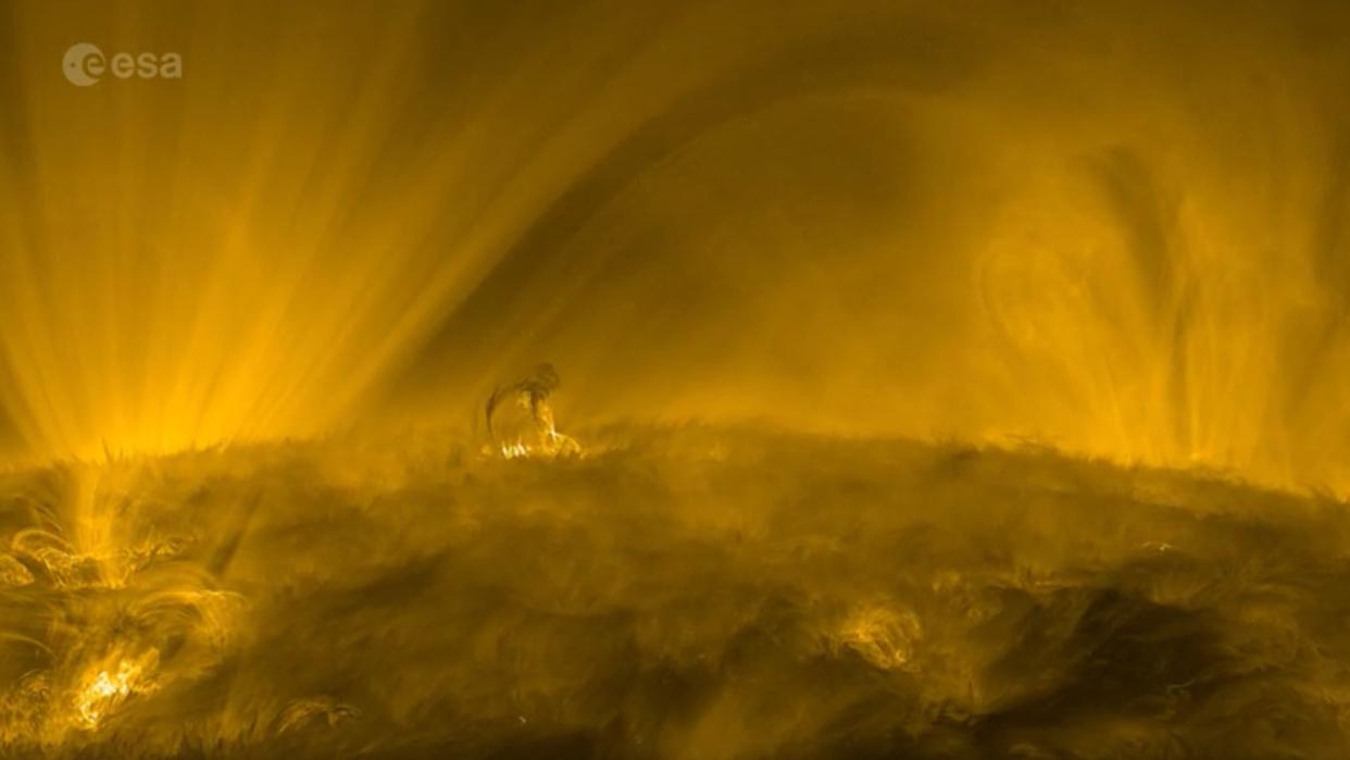  A golden landscape of the sun's surface, featuring looping towers of plasma. 
