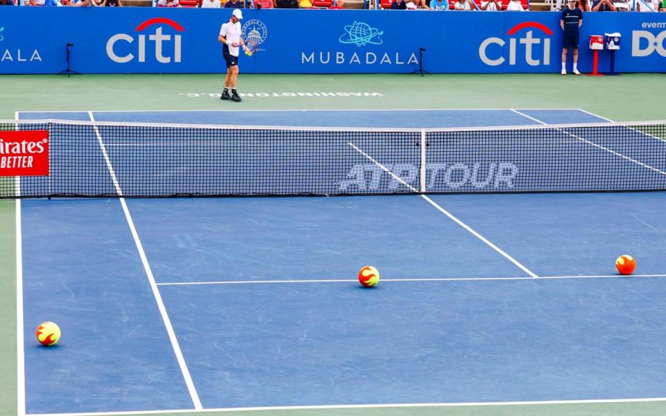 Climate protesters threw jumbo tennis balls onto the court during Murray's match with Fitz in Washington