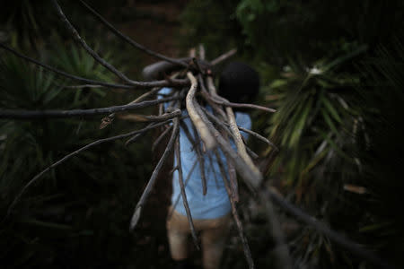 A boy carries sticks to be used as firewood in Boucan Ferdinand, Haiti, April 9, 2018. REUTERS/Andres Martinez Casares