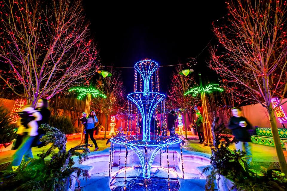 fountain of blue lights, trees lit in red and palm trees outlined in yellow and green