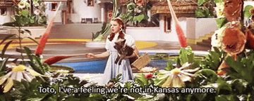 Dorothy saying "Toto, I've a feeling we're not in Kansas anymore" in The Wizard of Oz