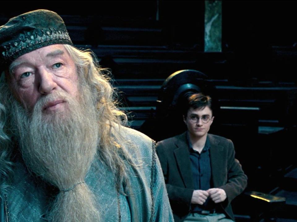 Dumbledore Harry Order of the Phoenix Harry Potter ministry