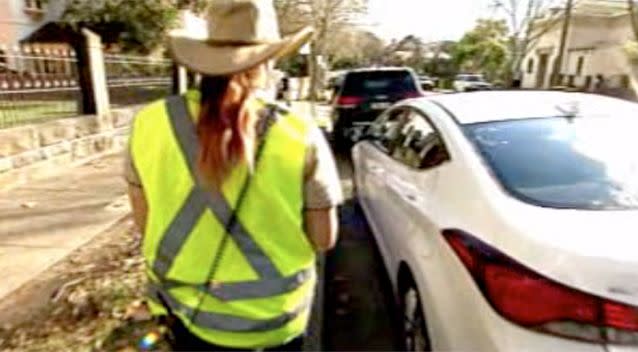 Some fines are down to ranger error. Photo: 7 News