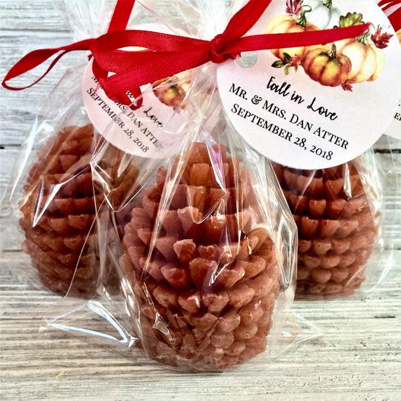 Pinecone Soap Favors