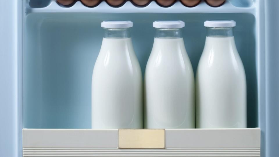 how-to-store-milk in the refrigerator
