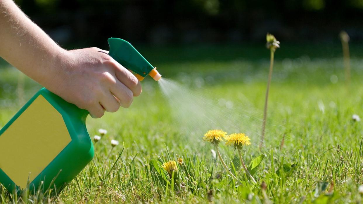  someone using a bottle to spray weeds 