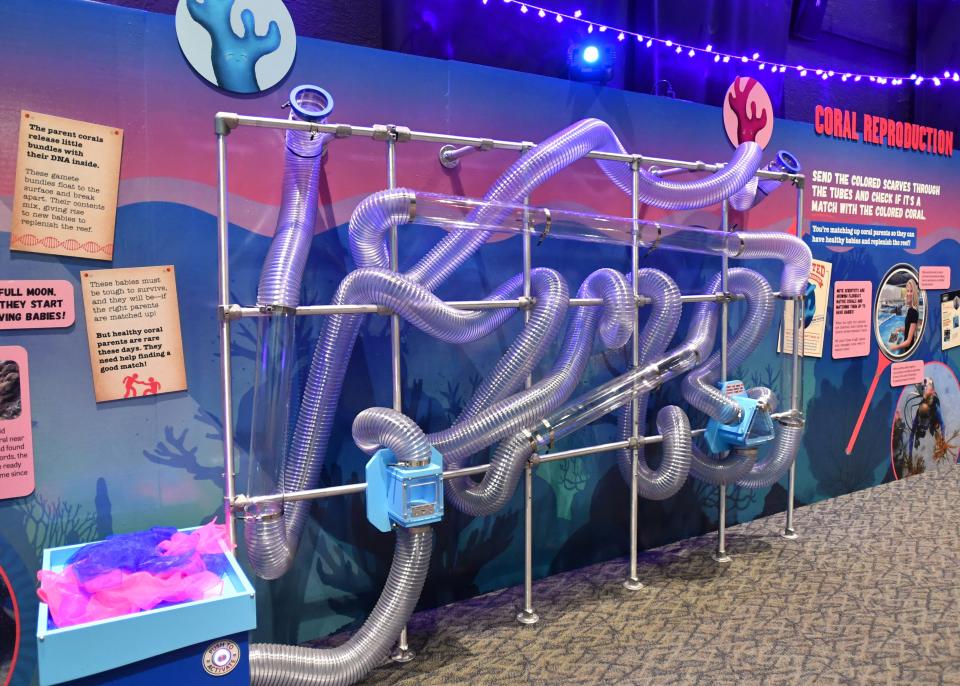 Guests will try to match coral colors with an air maze designed to explain coral reproduction.