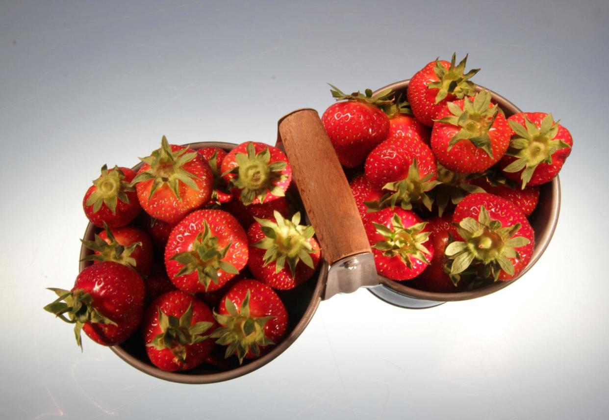 Strawberries are in season in Rhode Island. Let the shortcakes begin.