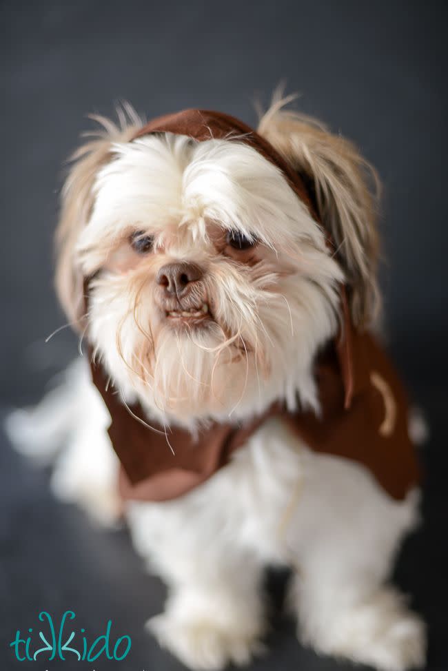 6) Dog Ewok Halloween Costume