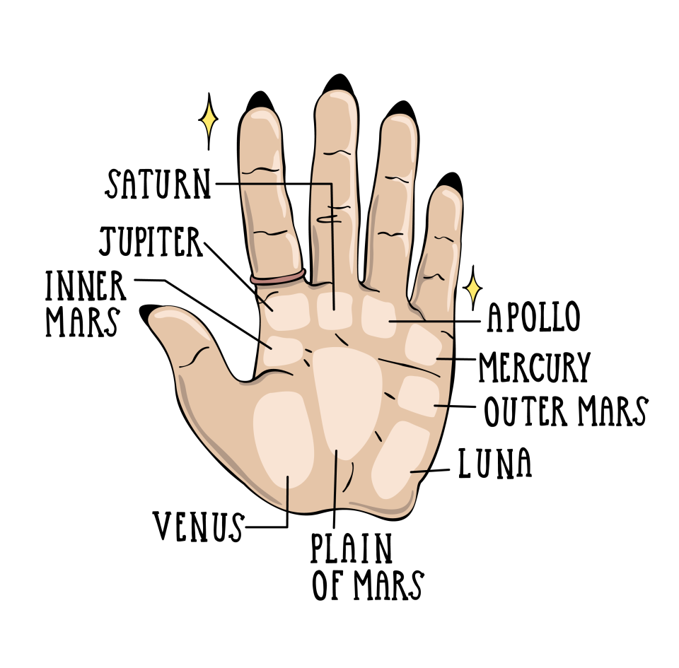 <h1 class="title">Hand mounds illustration</h1><cite class="credit"><a href="https://www.instagram.com/sagepizza/?hl=en" rel="nofollow noopener" target="_blank" data-ylk="slk:Sage Aune;elm:context_link;itc:0;sec:content-canvas" class="link ">Sage Aune</a></cite>