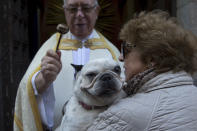 <p>A priest anoints a dog at the San Anton church during the feast of Saint Anthony, Spain’s patron saint of animals, in Madrid, Wednesday, Jan. 17, 2018. (Photo: Paul White/AP) </p>