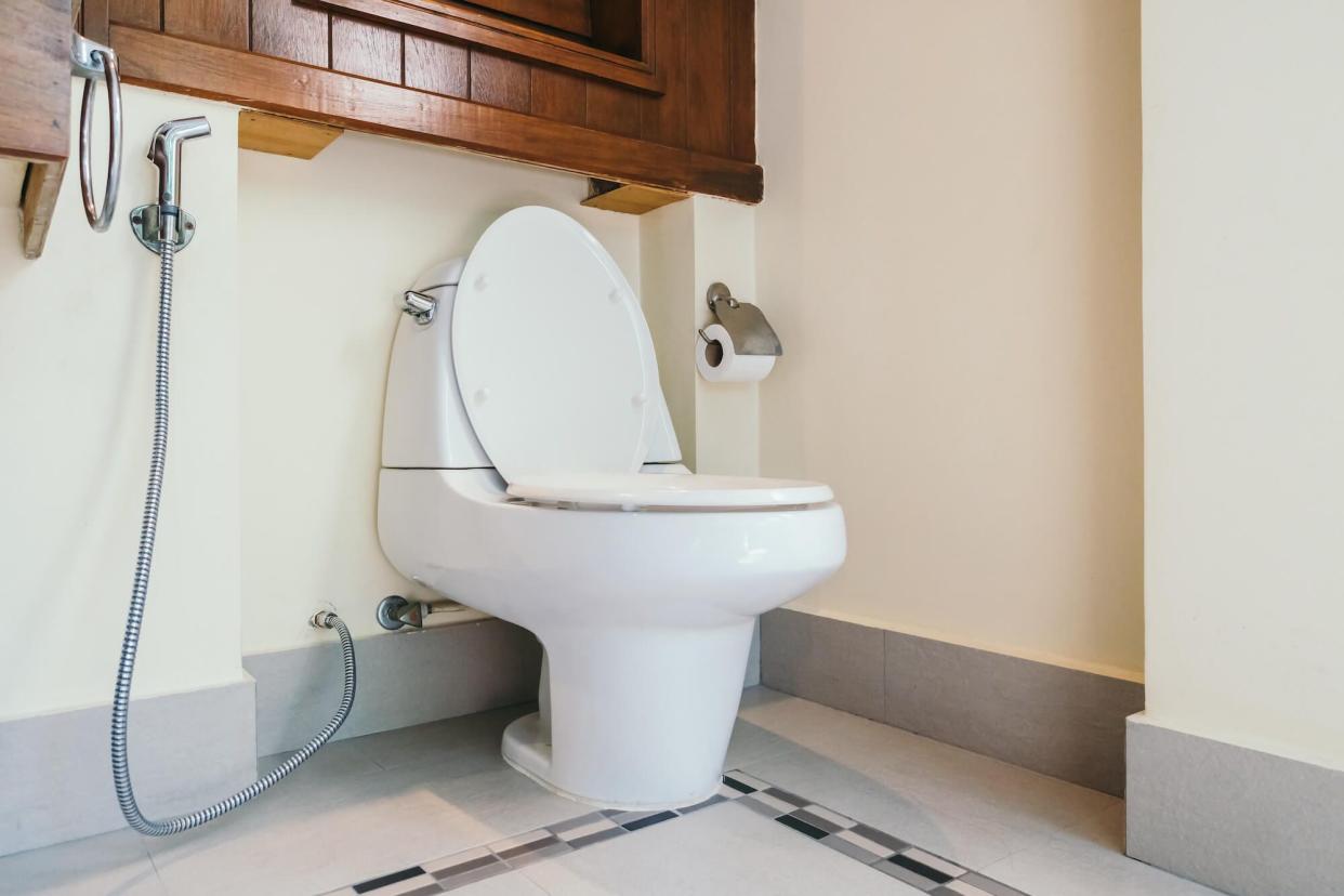 A toilet with toilet paper next to it