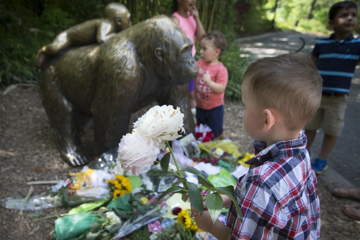 gorilla harambe statue