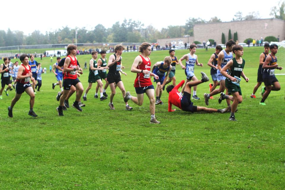 Ketcham junior Will Reitter slips and falls during the opening moments of the Dan Purdy Memorial Cross-Country Invitational at Pawling High Sept. 30, 2023.