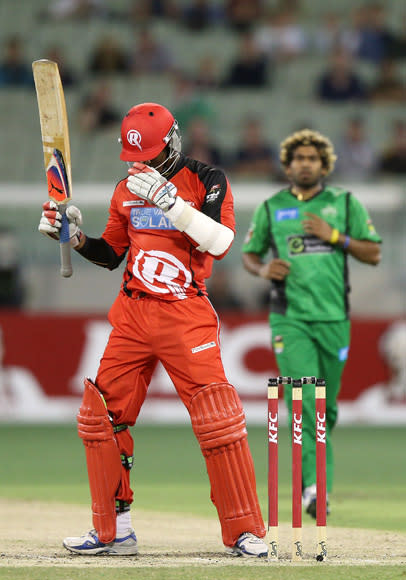 Big Bash League - Stars v Renegades