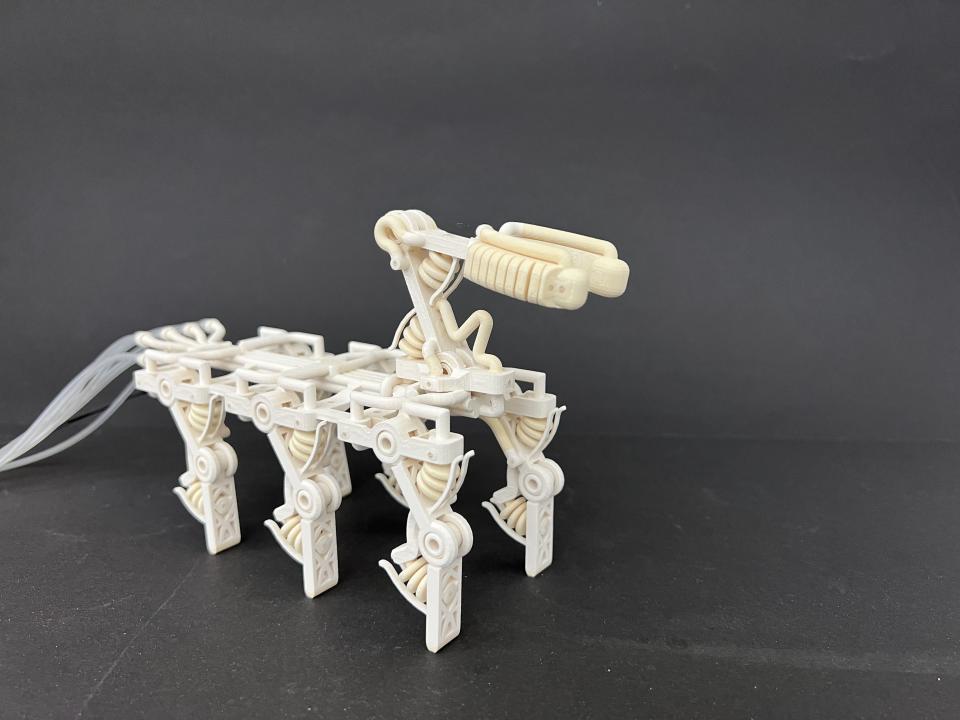 Researchers revealed a robot hand with bones, ligaments and tendons for the primary time