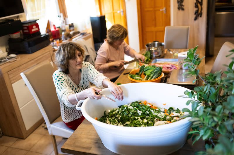 The Wider Image: Sustainable living offers hope for future for Hungarian families