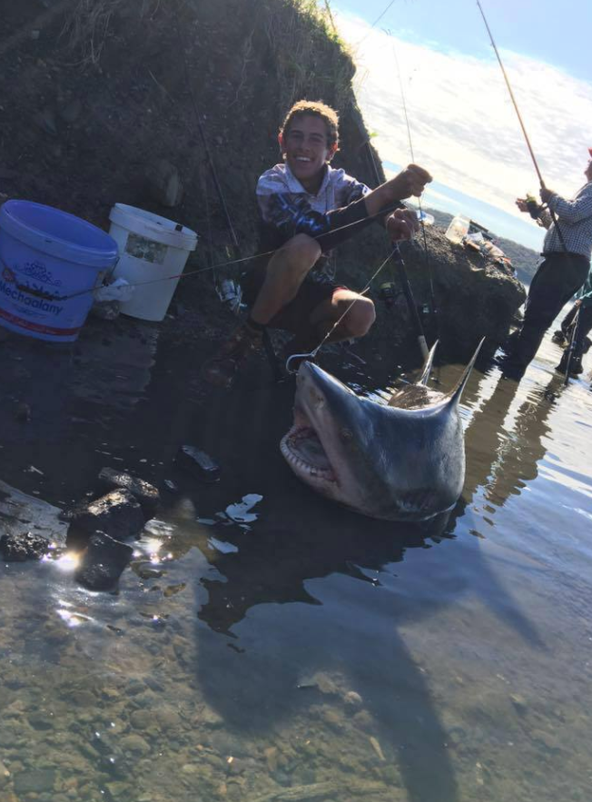 Billy Campbell shared this photo of a bull shark catch in Lake Macquarie. Photo: Facebook