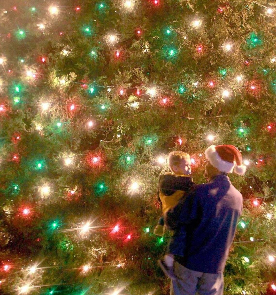 A father and son enjoy the lights on the Christmas tree at the Cary Town Hall.