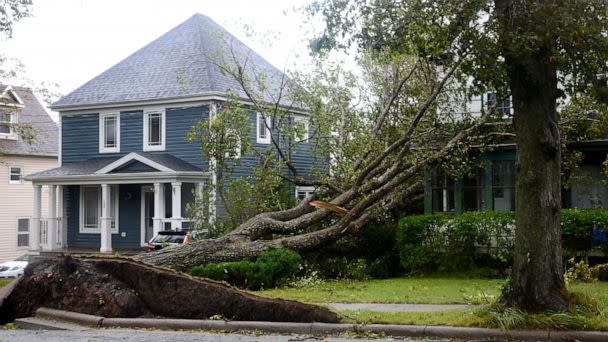 PHOTO: Fallen trees lean against a house in Sydney, N.S. as post tropical storm Fiona continues to batter the Maritimes on Sept. 24, 2022. (Vaughan Merchant/The Canadian Press via AP)