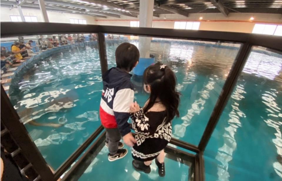 ▲瑪菲斯推薦，若帶孩子去宜蘭玩，可以去『金車水產養殖中心』欣賞鯊魚。