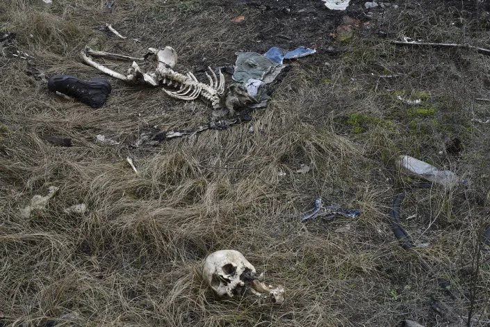 FILE - The remains of one of the Russian soldiers killed in battles and abandoned by the Russian troops in Sviatohirsk, Donetsk region, Ukraine, Wednesday, Dec. 21, 2022. Volunteers of a Ukrainian search group look for the remains of Ukrainian and Russian servicemen to identify them. Nearly 50,000 Russian soldiers have died in the war in Ukraine, according to the first independent statistical analysis of Russia’s war dead. (AP Photo/Andriy Andriyenko, File)