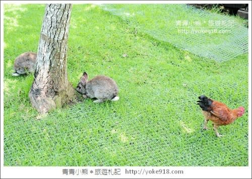 南投一日遊》清境貝卡巧克力莊園 清境好玩景點推薦