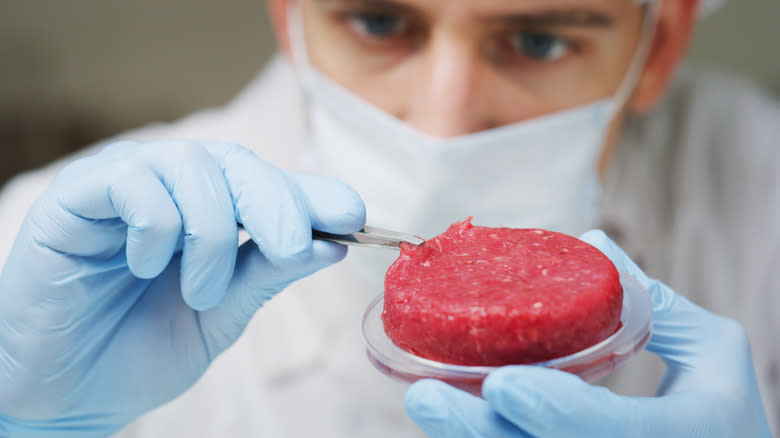Artificial lab-grown meat sample 