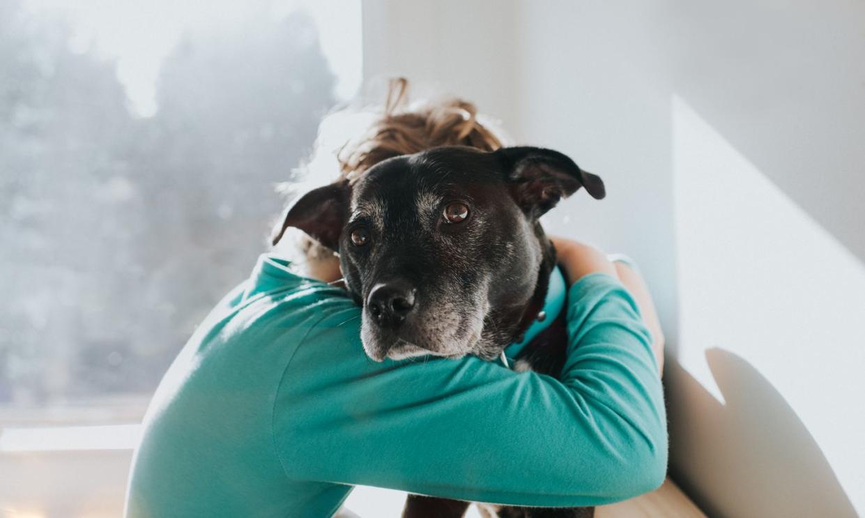 national rescue dog day a boy and his dog in a loving embrace