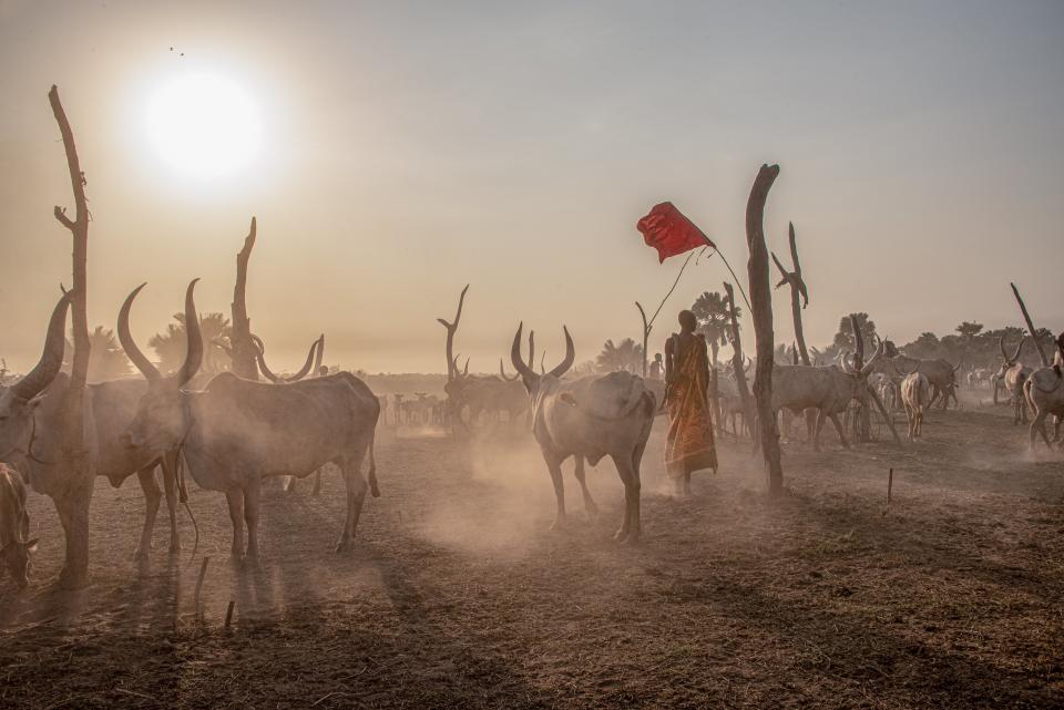 Remote cattle camps can often be subject to raids from neighbouring tribesValentina Morriconi