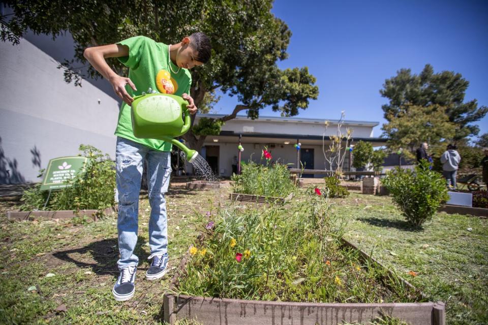 Student waters plants in school garden.