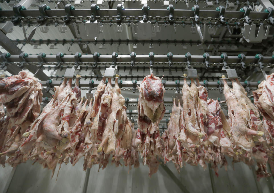 Kosher poultry meat hangs in a Kosher slaughterhouse in Csengele, Hungary on Jan. 15, 2021. The kosher slaughterhouse has increased its exports to Belgium since the European Union’s highest court last month upheld a law that outlawed slaughtering animals without first stunning them into unconsciousness, and Jewish law forbids injuring an animal before it is killed.(AP Photo/Laszlo Balogh)