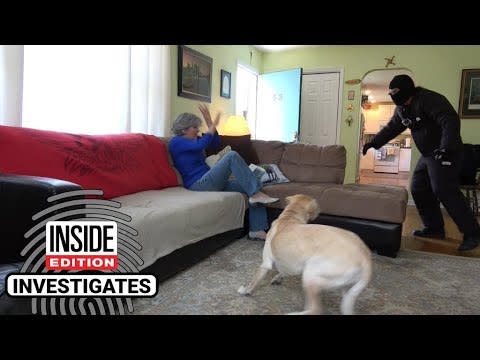 7) Dogs Tested To See Whether They'd Defend Owner During Home Invasion