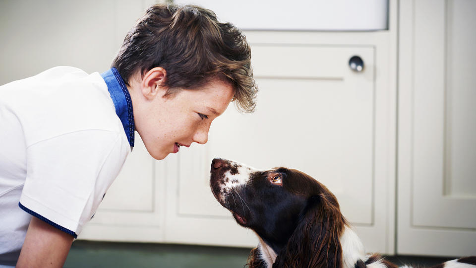 boy and dog chatting