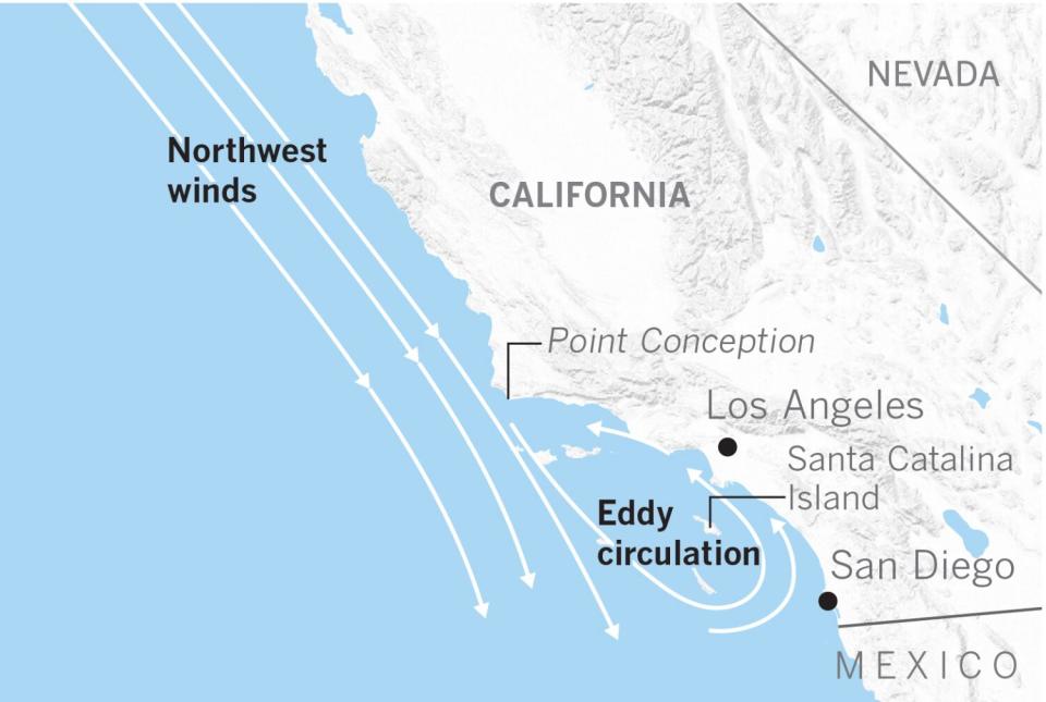 Illustration of Catalina eddy circulation.