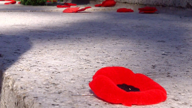 Poppies at the Grand Parade, Halifax.