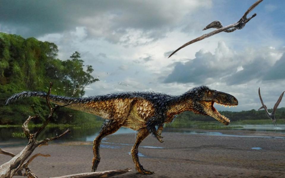 The regular comet strikes caused by Nemesis could have wiped out the dinosaurs  - Credit:  Todd Marshall/University of Edinburgh