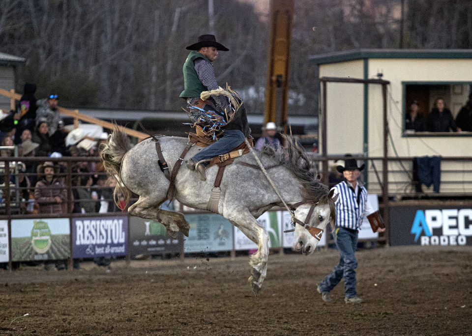 Cal Poly Rodeo Team member Leland King competes in the Poly Royal Rodeo on Saturday, April 15, 2023. The 81st annual Poly Royal Rodeo was held Friday and Saturday, April 14 and 15, 2023, at the Cotton Rosser Rodeo Complex in San Luis Obispo. Laura Dickinson/ldickinson@thetribunenews.com