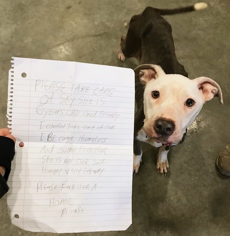 Sky and the note found inside a bag she was wearing while wandering the property of the Delaware Humane Association. (Photo: Stephanie Gomez/Delaware Humane Association)