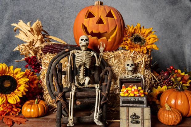 <p><a href="https://www.shutterstock.com/image-photo/halloween-skeletons-candy-corn-jack-o-2022211985" rel="nofollow noopener" target="_blank" data-ylk="slk:Robert Hale;elm:context_link;itc:0;sec:content-canvas" class="link ">Robert Hale</a></p>