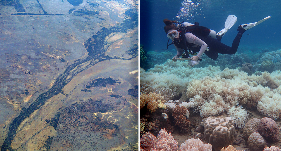 The Murray Darling River from above (left) and the Great Barrier Reef showing a diver and coral bleaching(right).