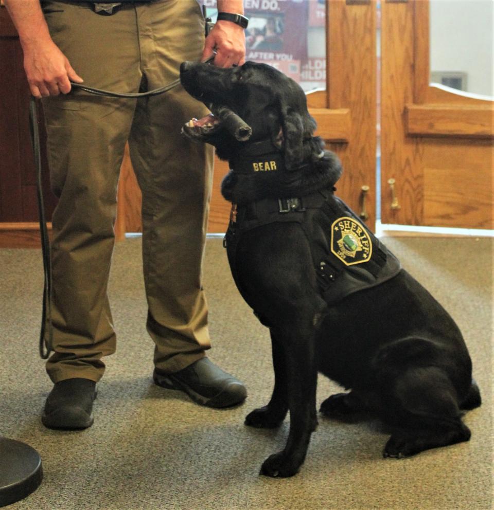 Specially trained drug dogs like Bear from the Lincoln County Sheriff's Office are an increasingly being used to sniff out drugs like fentanyl.