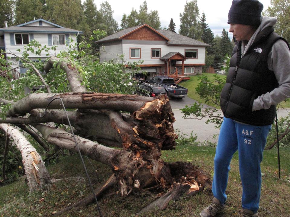 Diana Patton stands near two trees that fell over in her front yard during a wind storm in Anchorage, Alaska, Wednesday, Sept. 5, 2012. The storm knocked out power in parts of the city, uprooted trees and closed schools. (AP Photo/Rachel D'Oro)