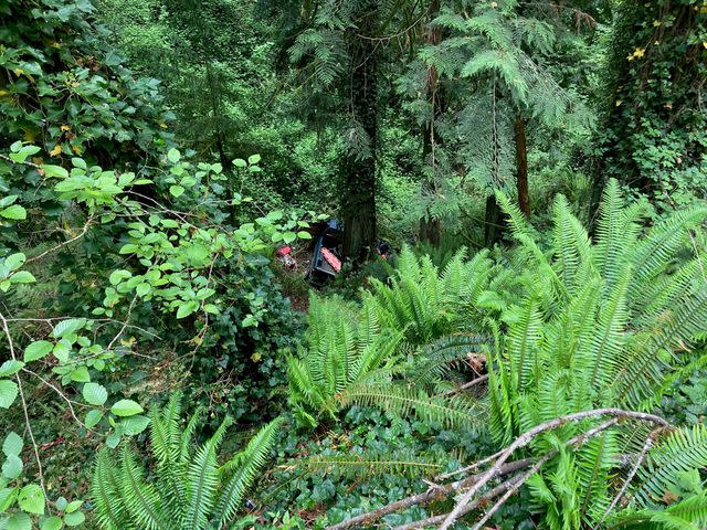 <p>Cowlitz 2 Fire & Rescue</p> The truck in the ravine