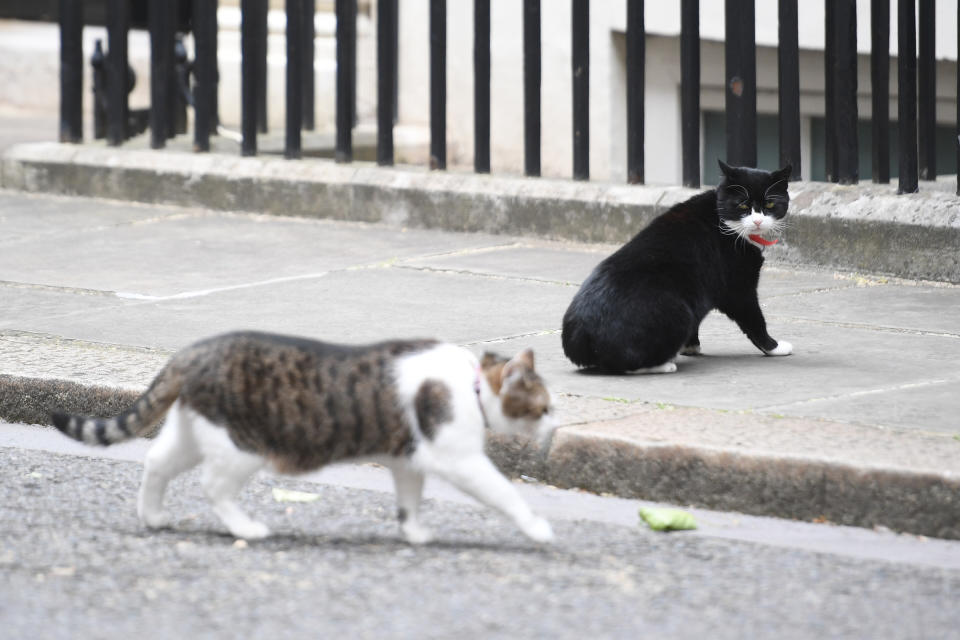 General Election 2017 aftermath (Victoria Jones / Getty Images)