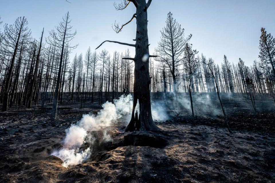 Spot fires smolder near trees damaged by the Bootleg Fire on July 21 in Bly, Ore.