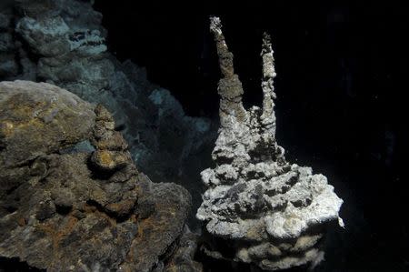 A hydrothermal vent field along the Arctic Mid-Ocean Ridge, close to where 'Loki' was found in marine sediments, is seen in this undated handout image courtesy of the the Centre for Geobiology at University of Bergen, Norway. REUTERS/Centre for Geobiology/University of Bergen, Norway/R.B. Pedersen/Handout