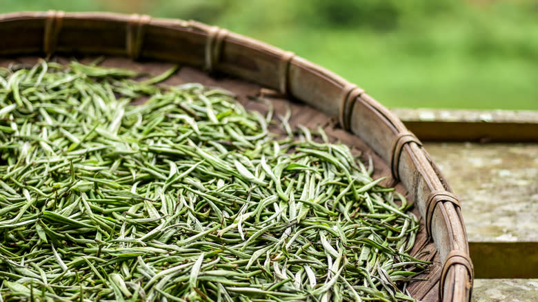 Silver Needle tea leaves