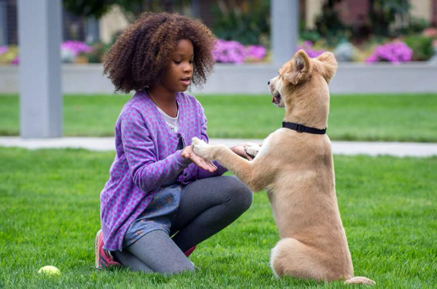 Surprise: Quvenzhané Wallis, 'Annie'